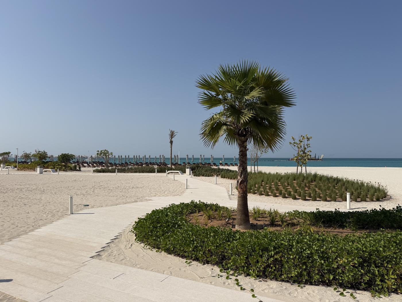 Weg mit Palme zum Strand